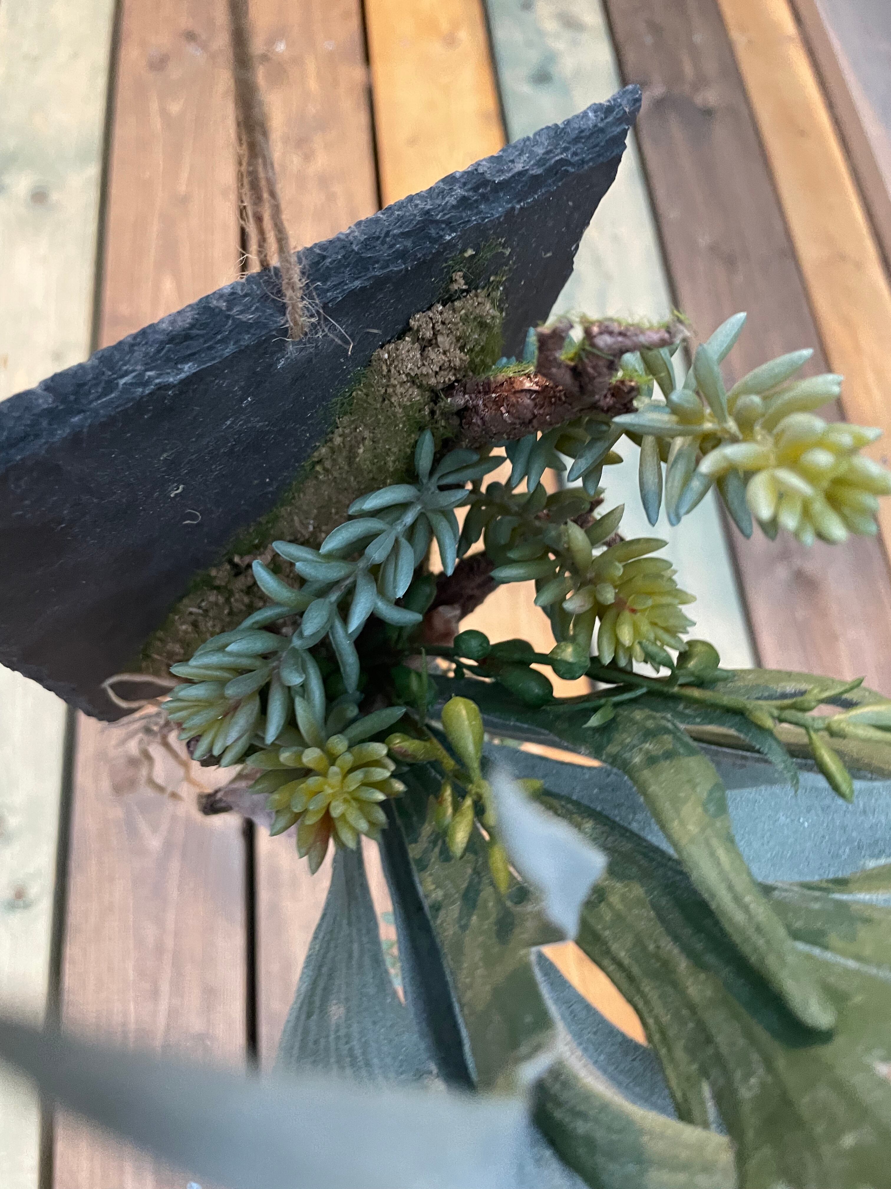 フェイクグリーン(人工観葉植物)】ビカクシダと多肉植物の壁掛け