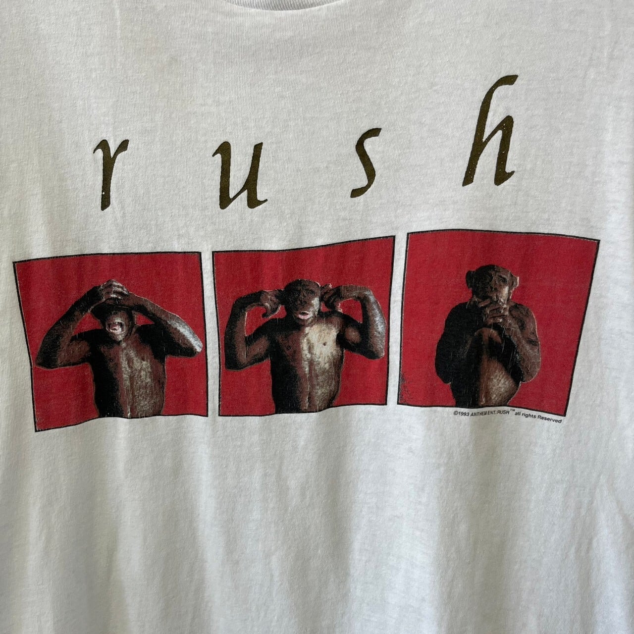 90s バンド系 rush ラッシュ COUNTERPARTS 1994 猿 デザイン プリント 半袖Tシャツ シングルステッチ L 古着 古着屋  埼玉 ストリート オンライン 通販 アメカジ ヴィンテージ