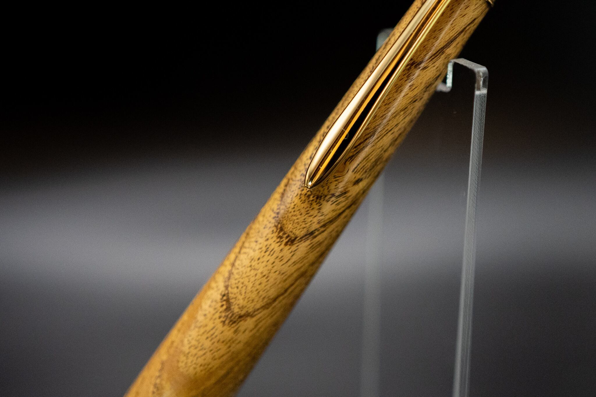 【黄金の木】 御蔵島 金桑