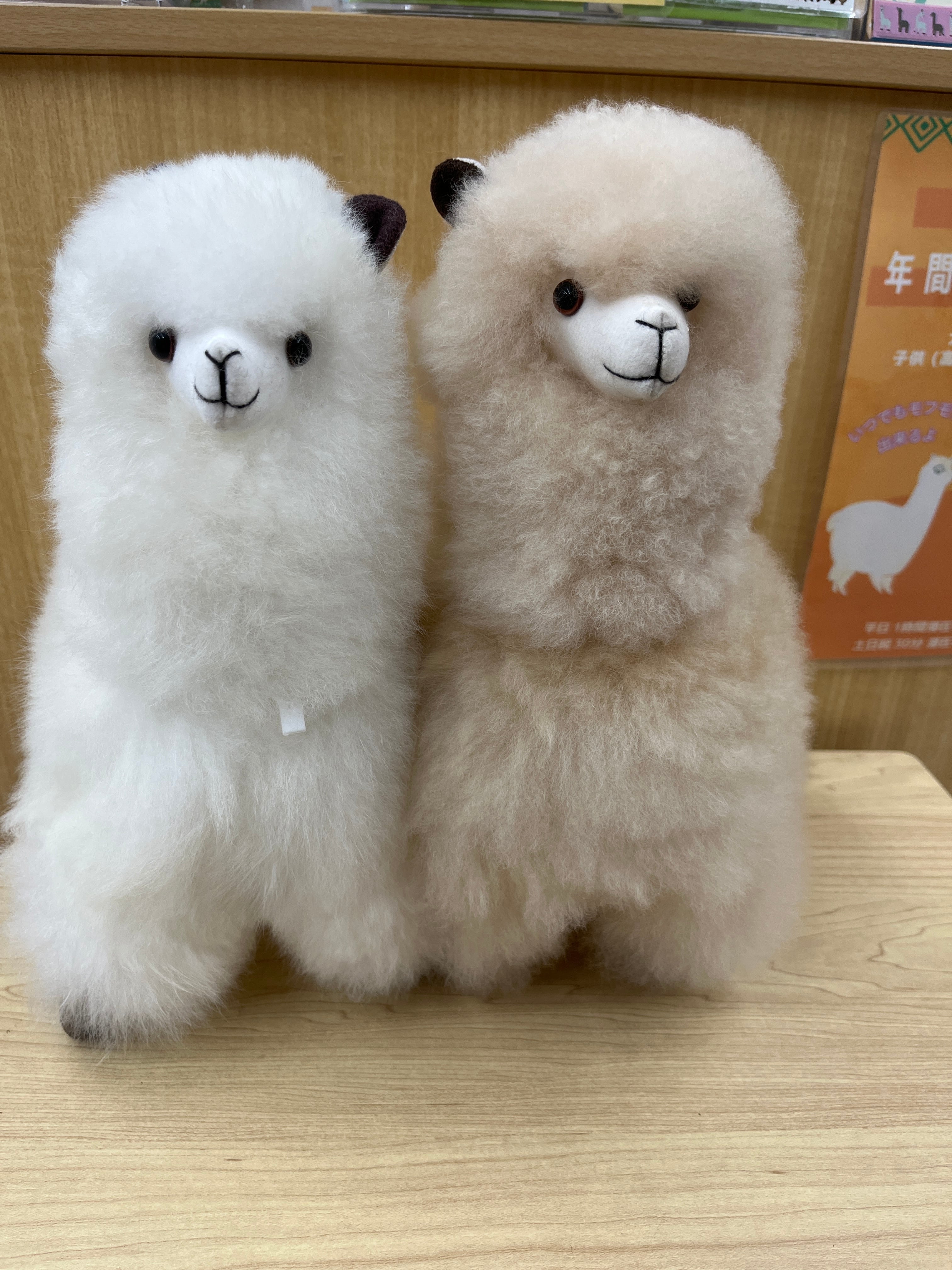 ぬいぐるみ | ALPACA WORLD