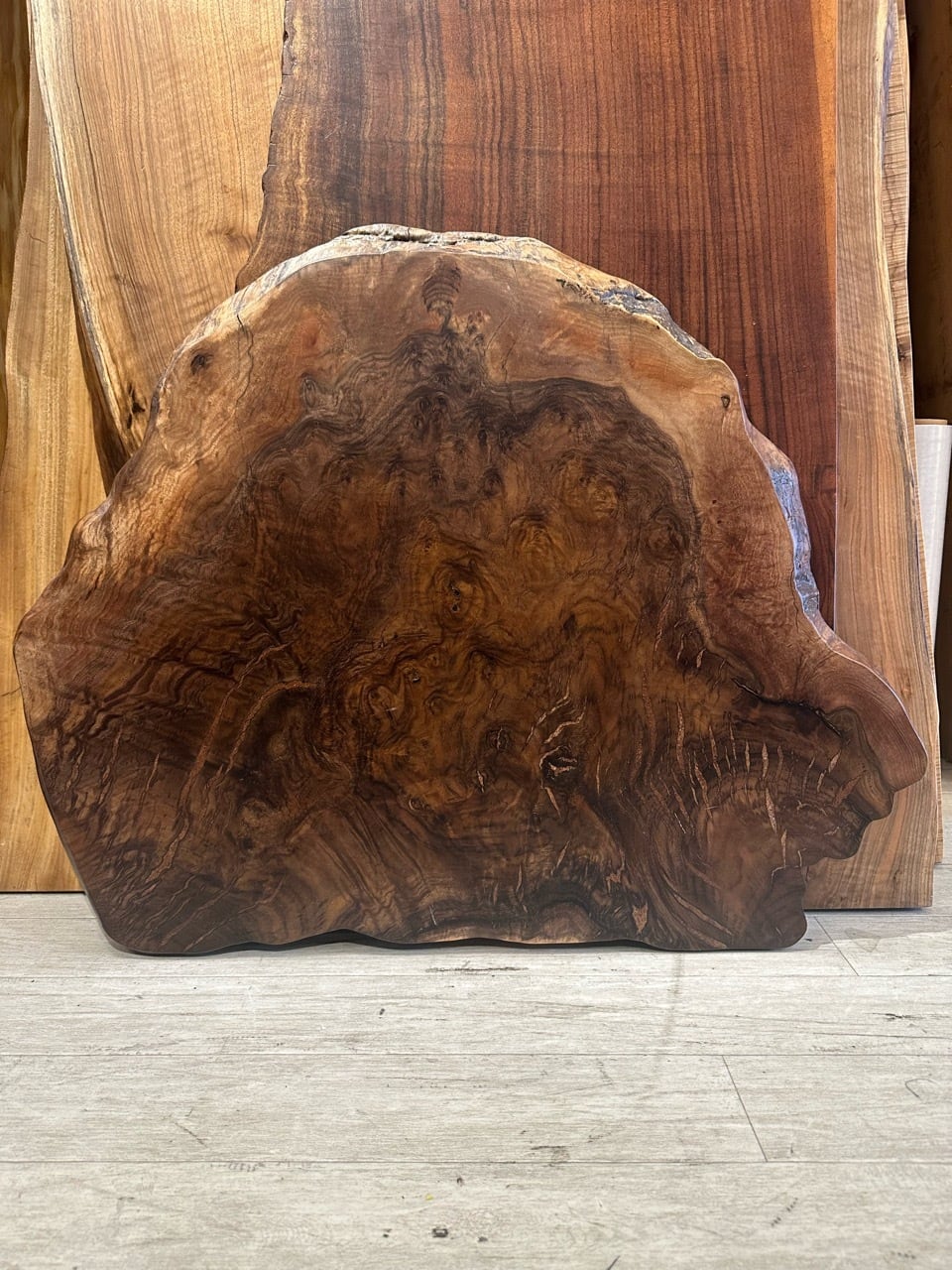 OUTLET】【輪切り】クラロウォールナット_640×530-850×40_浅草本店_