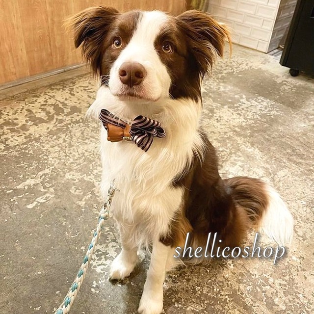 【ストライプpink × brown】ボリュームたっぷりリボンチョーカー