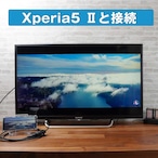 Hy+ Type-C to HDMI 変換アダプター HY-TCHD8 4K映像対応(Xperia5ii Xperia1ii AQUOS R5G arrows 5G Galaxy S20 5G/S20+/S10/S10+対応) ブラック