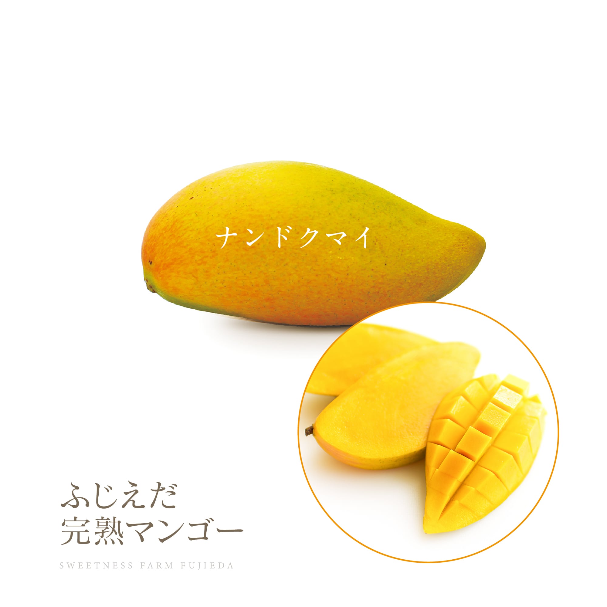 お得！ご自宅用【詰合せ】品種ミックスわくわく1kg | ふじえだ完熟