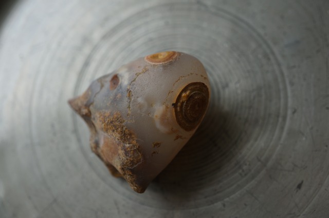ゴビアゲート Gobi Agate 2383