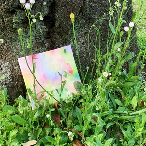 Flowering meadow