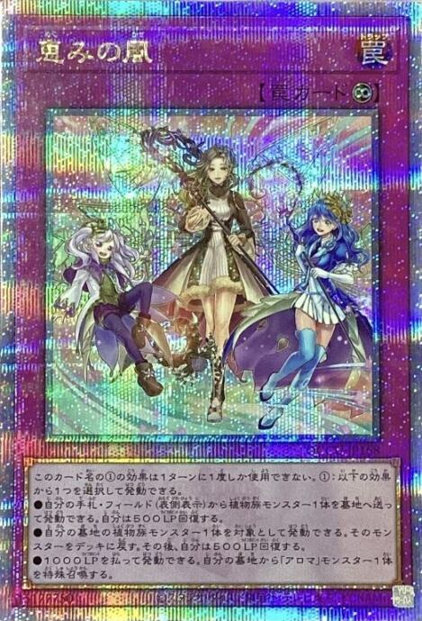 【Bランク】恵みの風(25th)