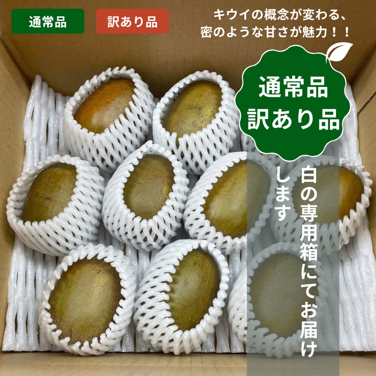 ＜10月下旬より順次発送＞【産地直送】レインボーレッドキウイ　Mサイズ 約36個(約3.0Kg)
