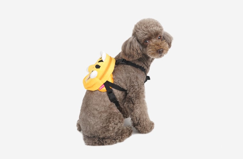 ZOOハーネス&リードセット 3color / 犬 犬用 ハーネス 小型犬 中型犬 ドッグウェア ペット用品 胴輪 犬用リュック