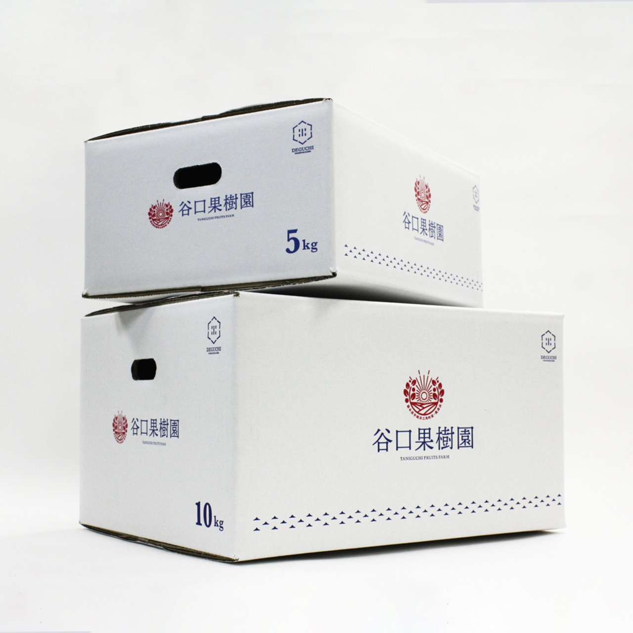 【予約販売】谷口果樹園のリピ確みかん（温州みかん10kg）