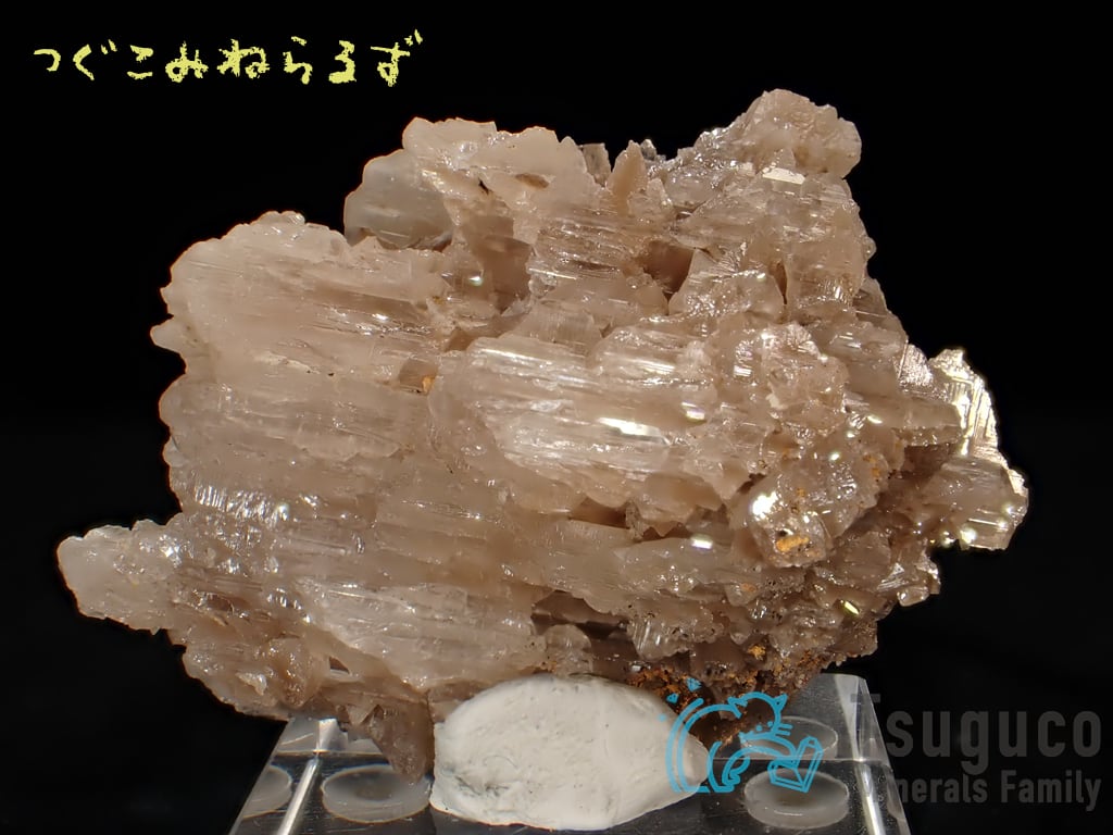 セルサイト 白鉛鉱 Cerussite イラン TM-0040