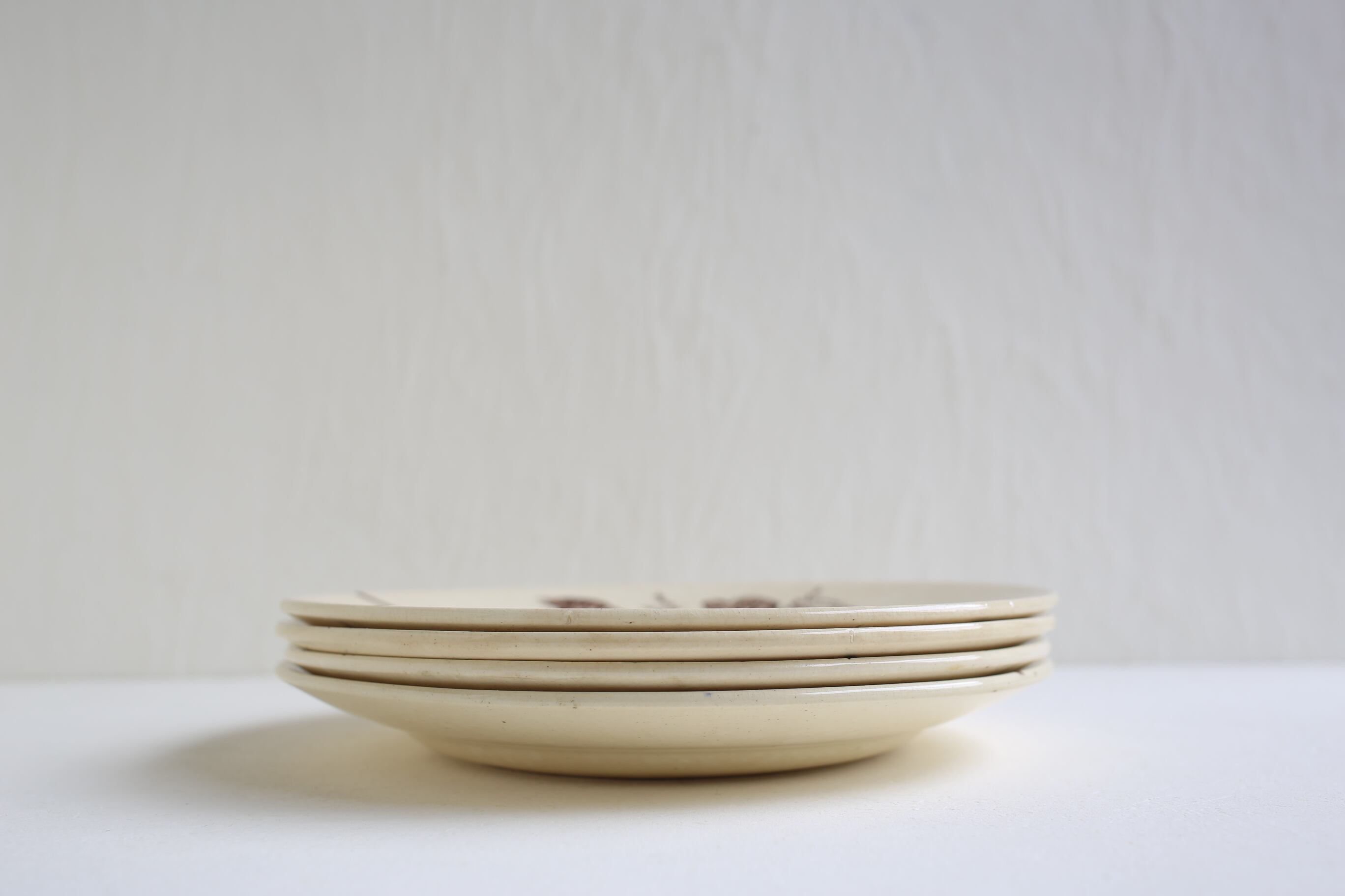 フランス アンティーク Choisy le Roi ショワジールロワ『鳥と木の実と