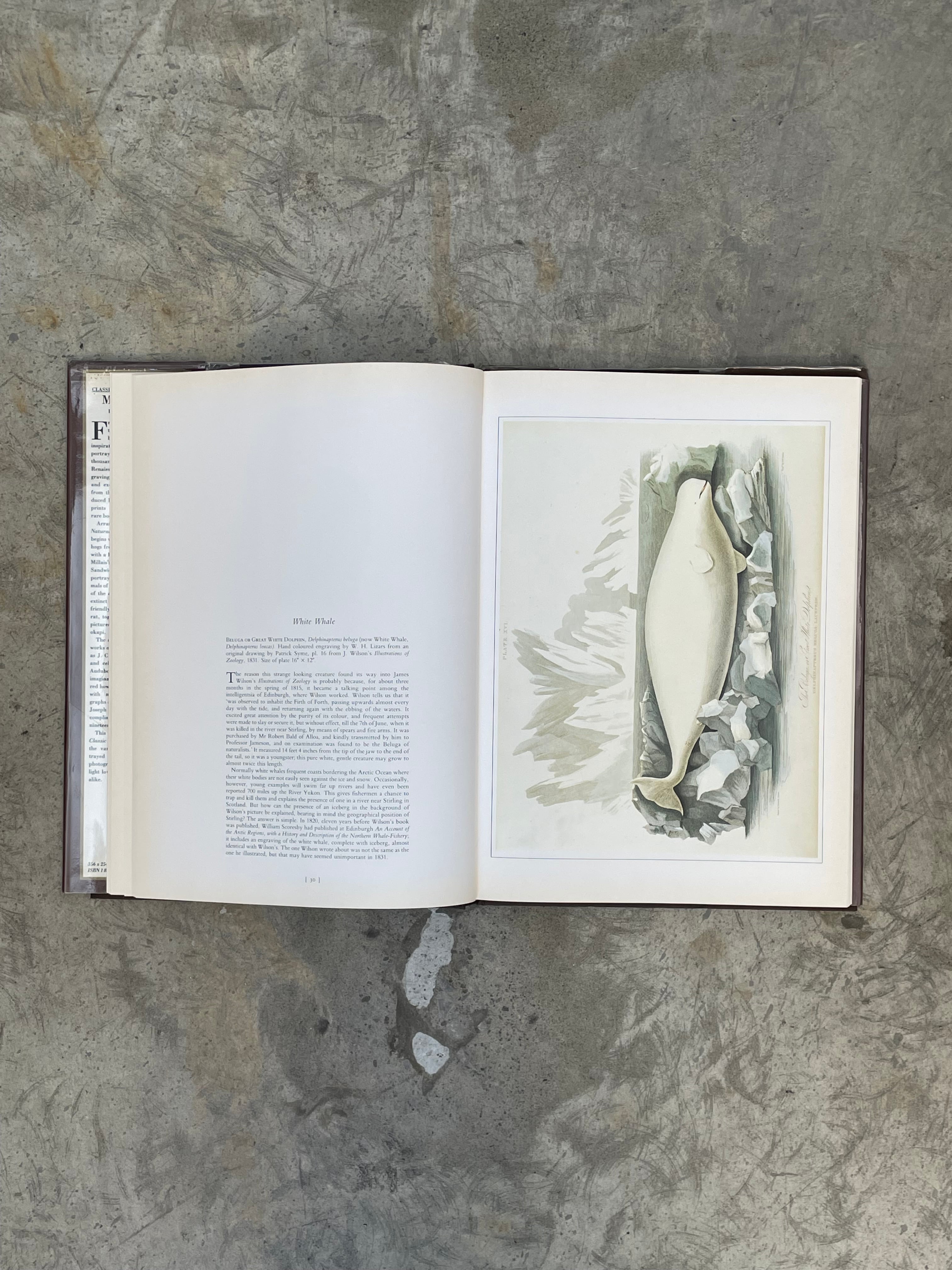 32c7aedac498baafd0496866adc3da