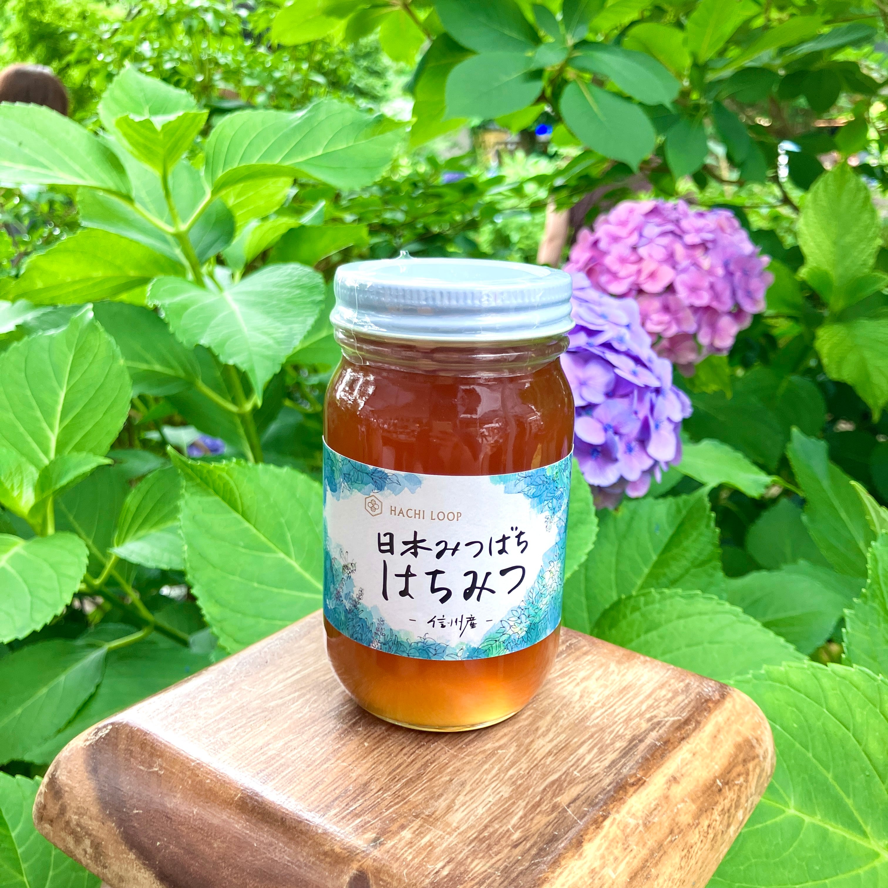 Arabia はちみつジャー 300g 日本ミツバチ界のレジェンド富永朝和プロデュース！日本みつばち