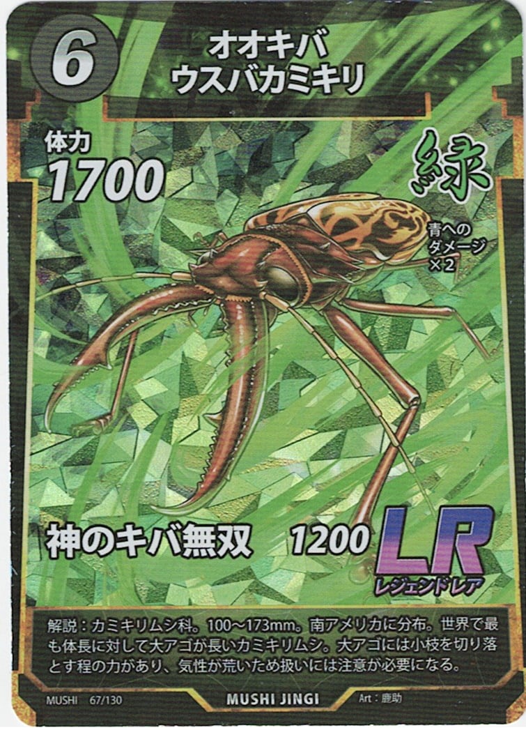 オオキバウスバカミキリカニムシセット