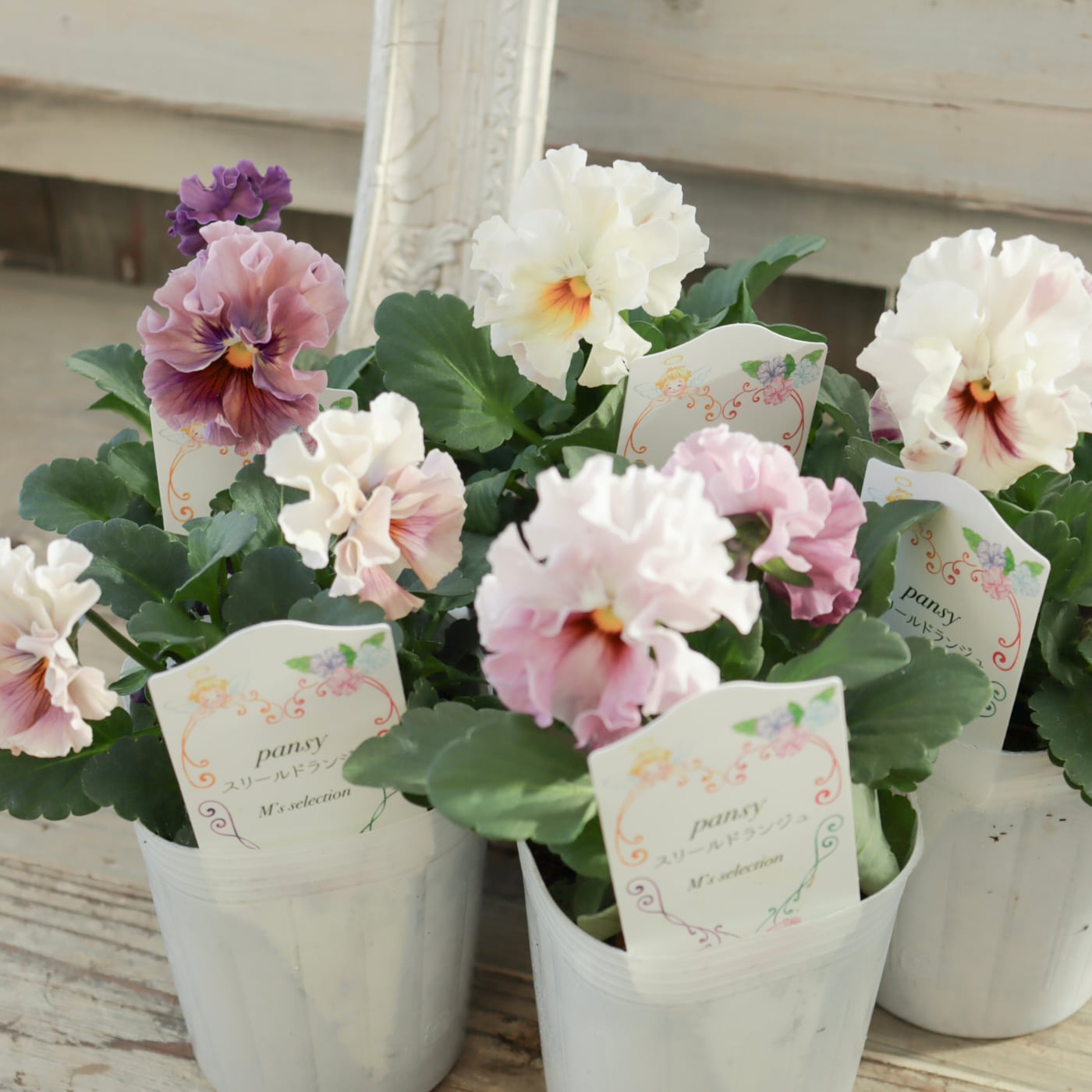 Green heartꕥオンラインショップ