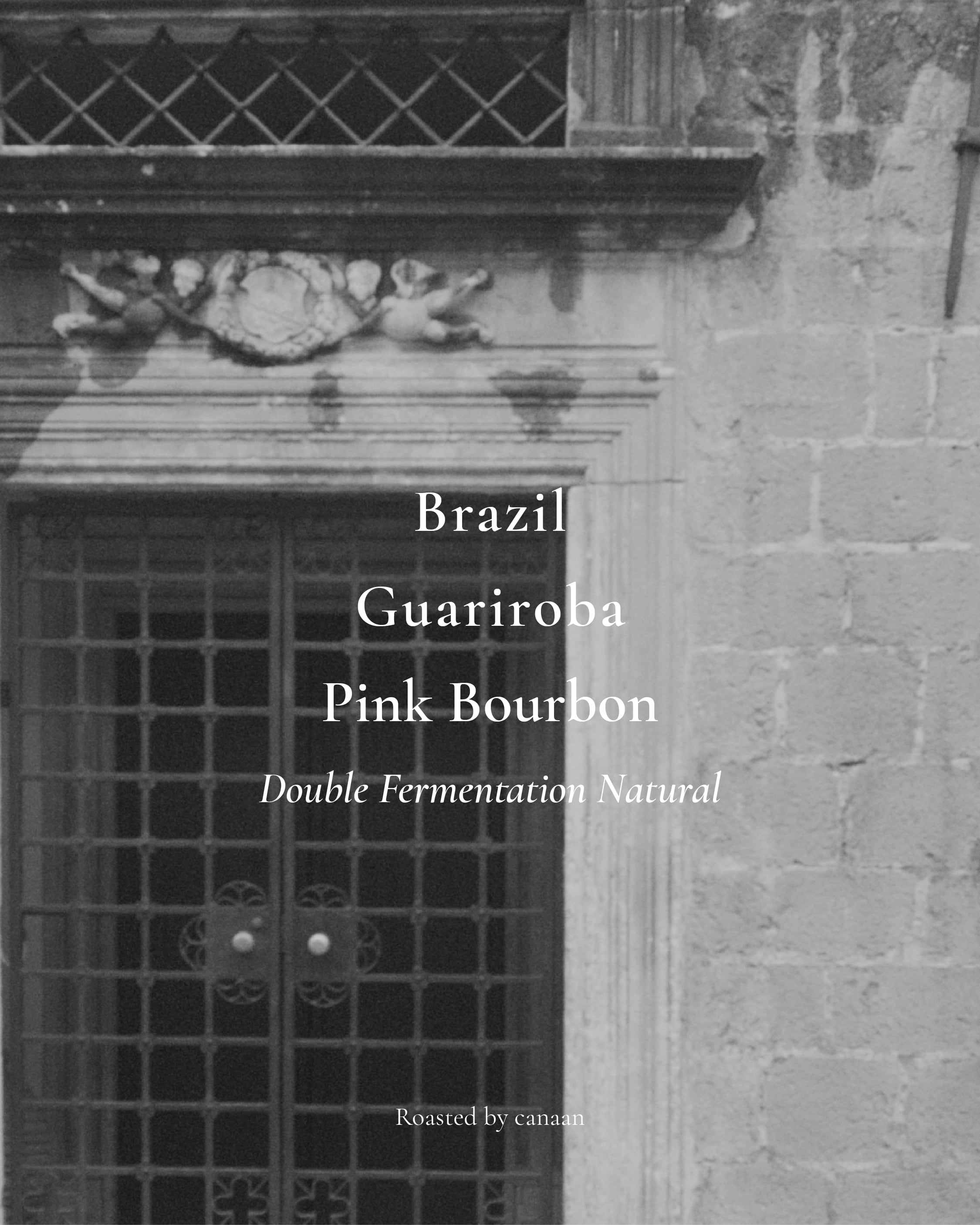 Brazil Fazenda Guariroba Pink Bourbon Double Fermantation natural | 300g