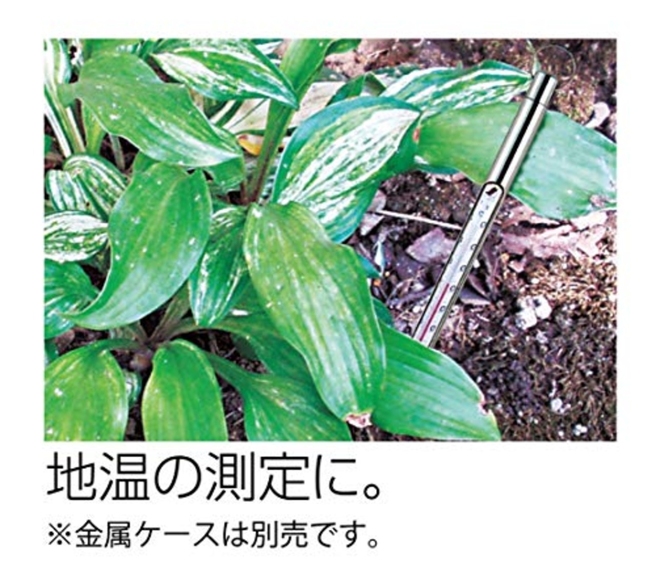 シンワ測定(Shinwa Sokutei) 棒状温度計 H-1S アルコール 赤液 -20~105℃ 30cm バラ 72746