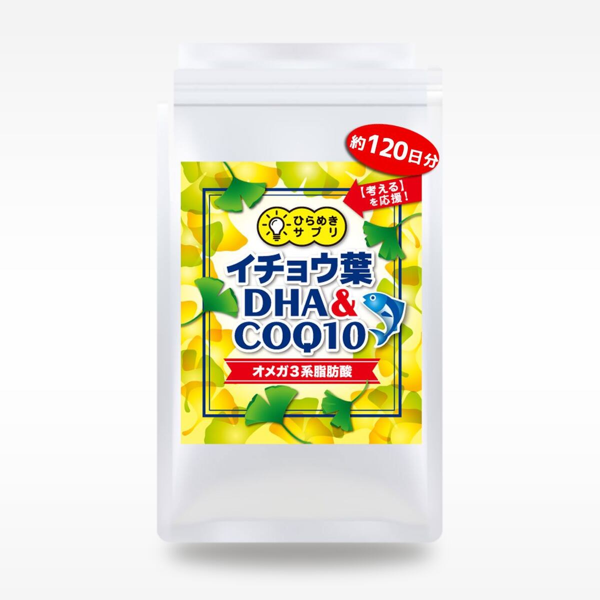 イチョウ葉 DHA&COQ10 ※1袋120日分 ※送料無料