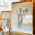 チークフレーム A3サイズ