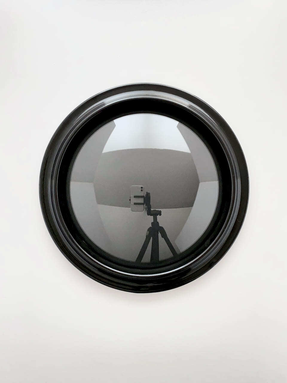 コンベックス グラスケース L （25cm） 立体 円形フレーム / Convex