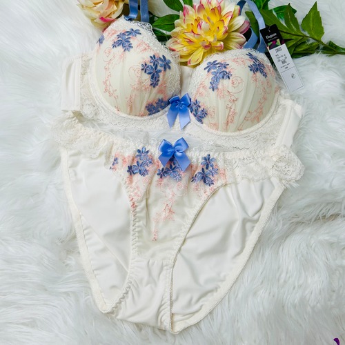 ＼B95大人気ラスト一点プリンセスデザイン！☆／【B95 4Lブラ＆ショーツ】アンダー95cm 4Lショーツ 大きいサイズ 下着 フリージア