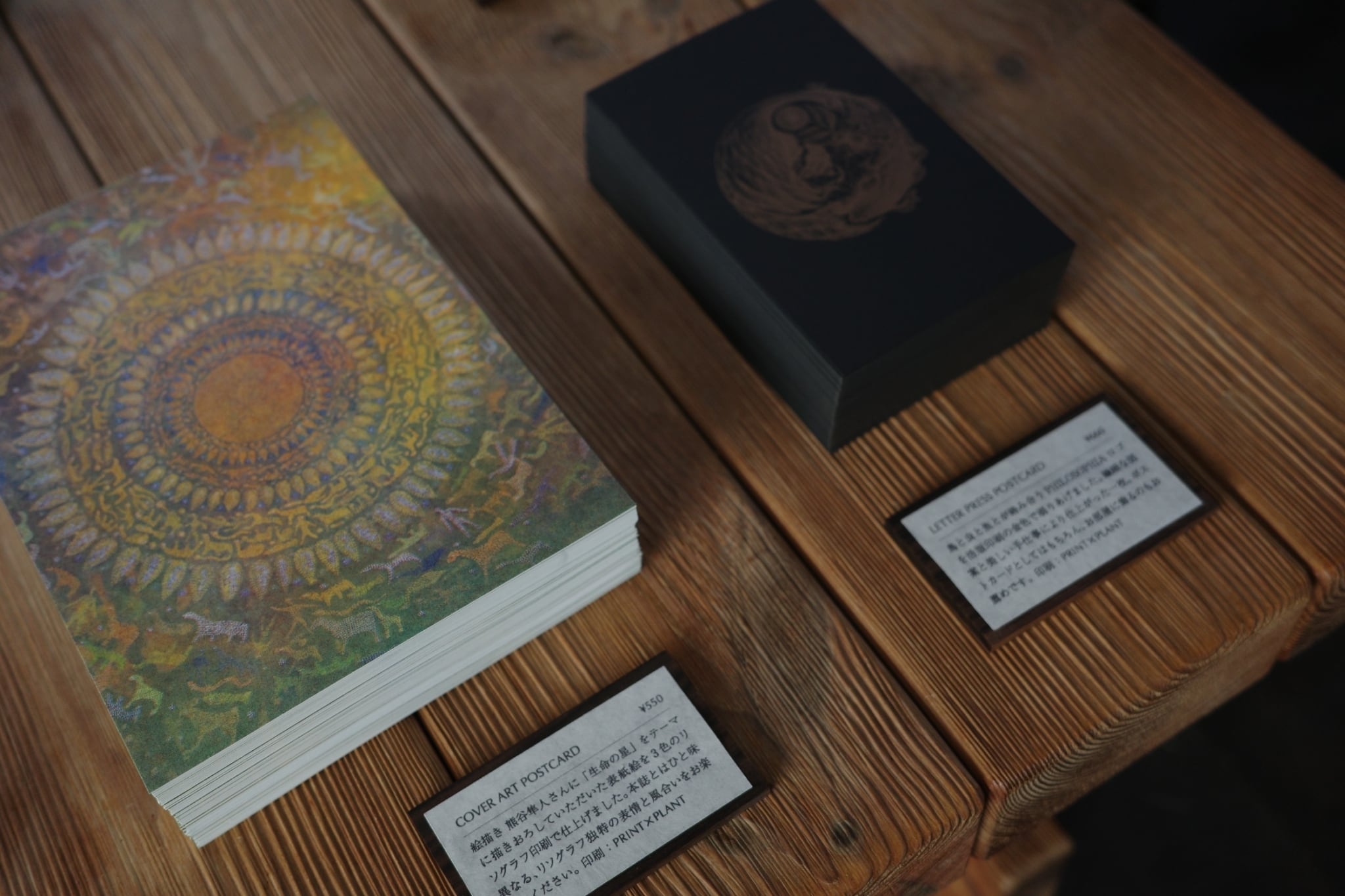 COVER ART POSTCARD | PHILOSOPHIA