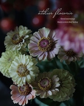 季節の花定期便 【 レギュラー便 ¥5500セット×3回 】