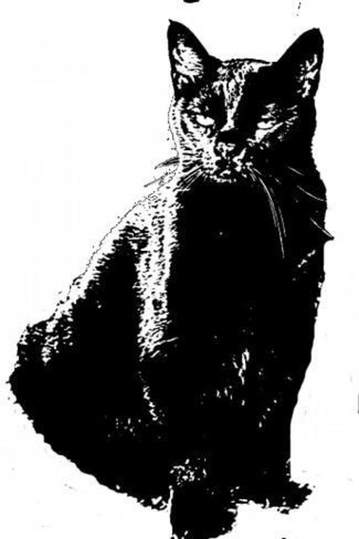 VINCENT
