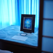 「Blooming in blue」—原画 by 寺本悠里子