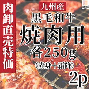 【シェアも独占も◎】食べ比べ焼肉用黒毛和牛500g（赤身250g+霜降り250g）九州産A4~A5