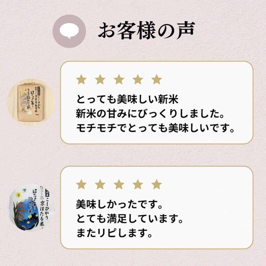 コシヒカリ【送料無料 一等検査 白米】 令和5年産 京都 丹後 コシヒカリ 約27kg