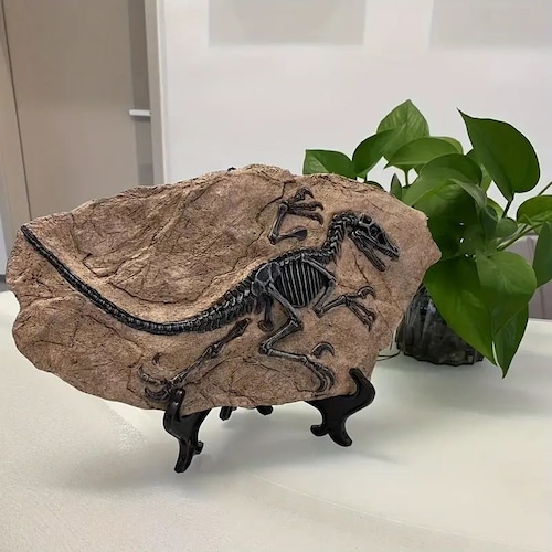 置物　恐竜　化石　骨　骨格標本　骨格模型　おもちゃ　知育　インテリア　ギフト　贈り物　誕生日　ティラノサウルス　ブロントサウルス