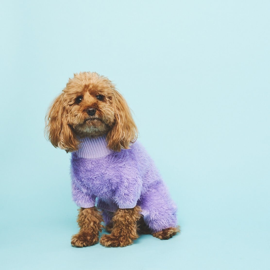 FEATHER YARN ROMPERS-PURPLE