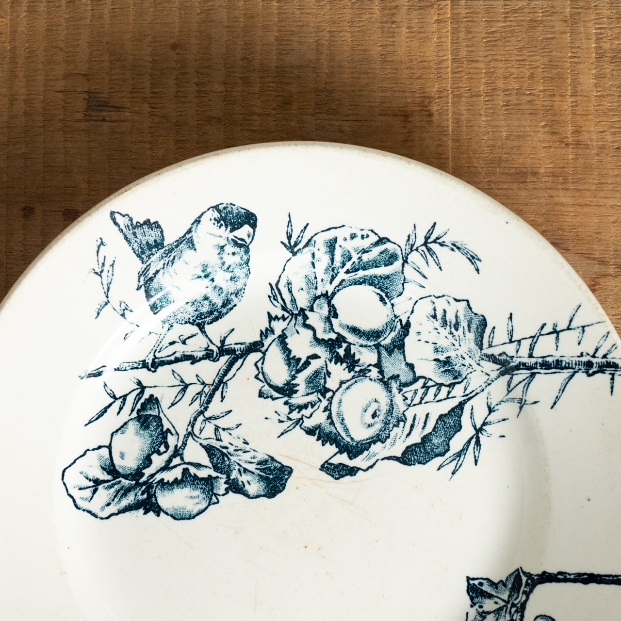 Choisy le Roi HB&Cie Plate / ショワジール ロア プレート【C