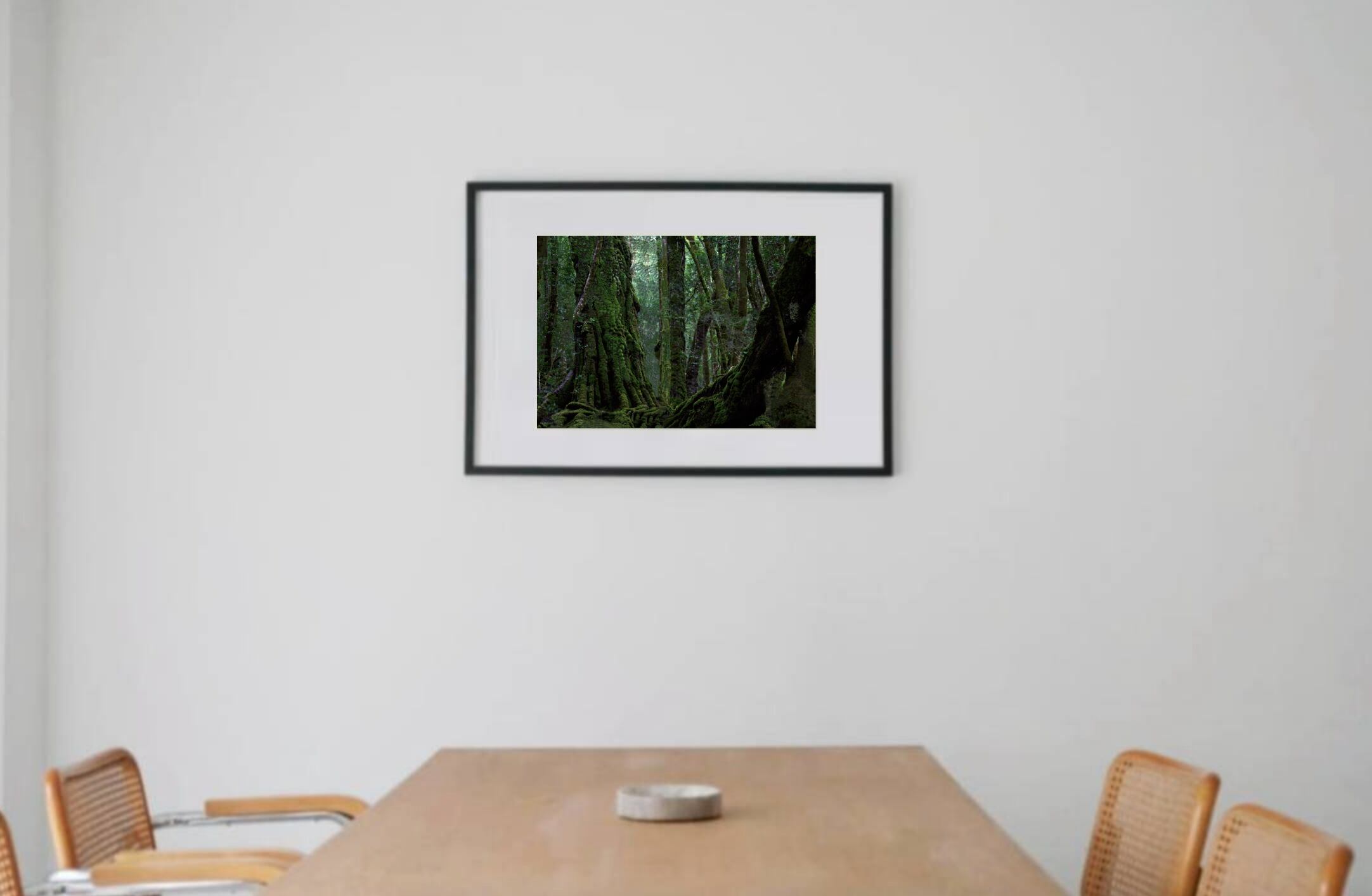 Deep Forest #2 black wooden frame 63㎝ × 93㎝付き ( LL )