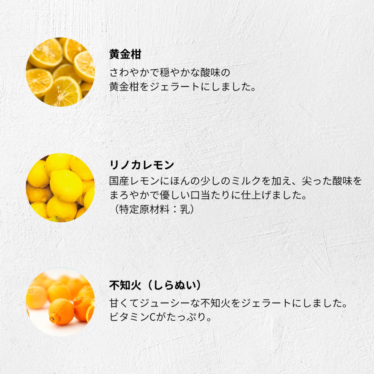 春の柑橘食べ比べセット