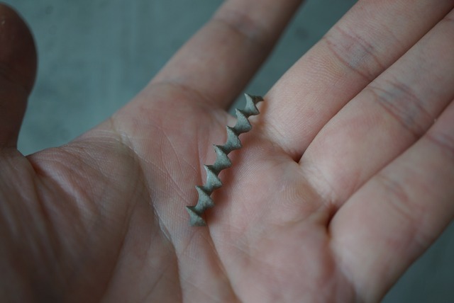 アルキメデス化石 Archimedes sp. 1512