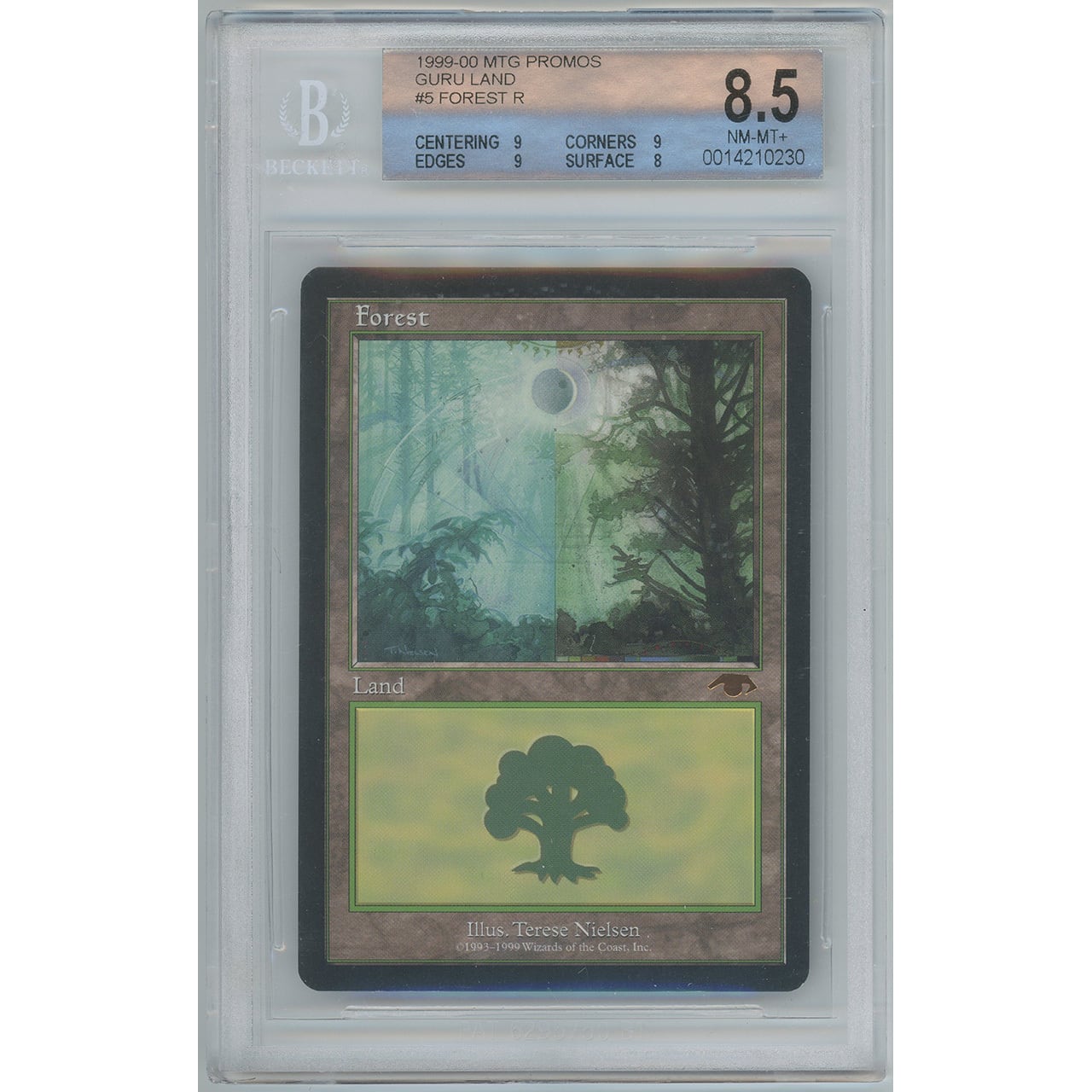 【BGS8.5】Forest / 森 GuruLand 【EN】