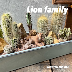 Lion Family