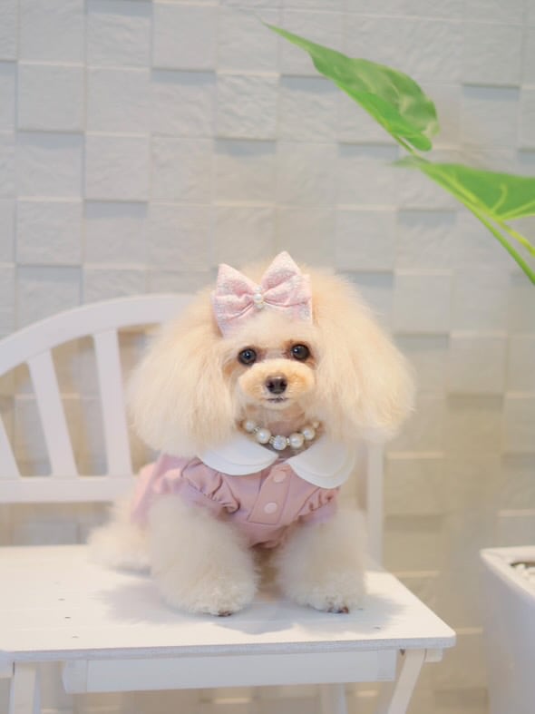 DRESS/PINK R001