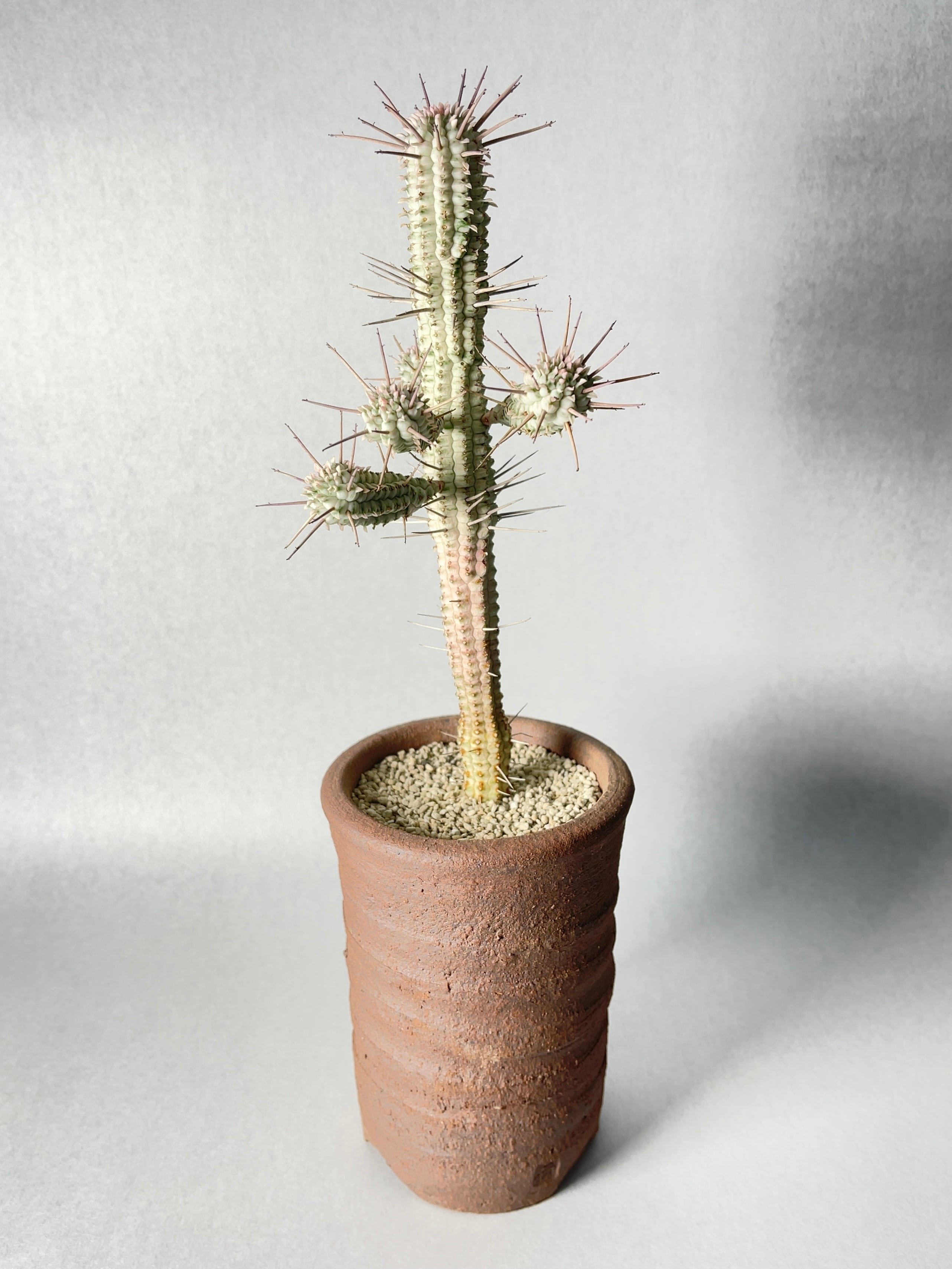 32f70bab5e6fc00ab7732894c88c5f