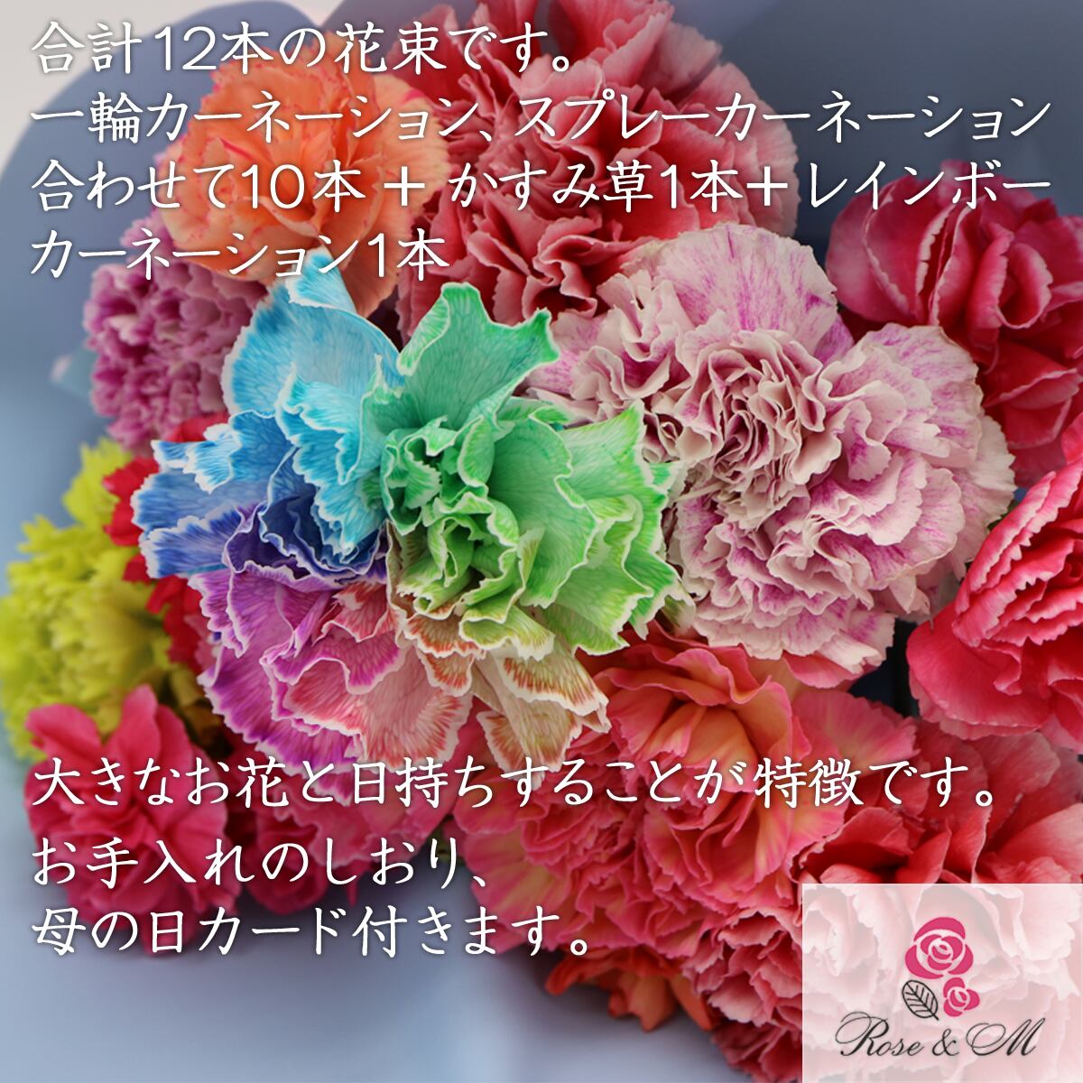 送料込 5月5日21時まで 国産カーネーション生花ブーケ なないろのみらい メッセージカードと鮮度保持剤付き ローズ エム Rose M レモンケーキと紅茶 珈琲 お茶の専門店