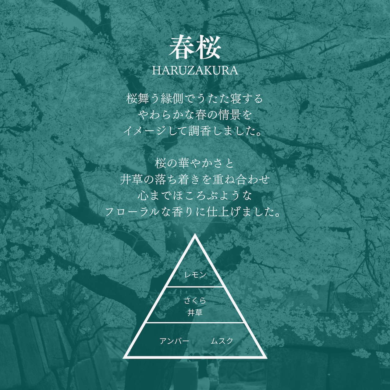 【gui専用】木芯アロマキャンドルリフィル