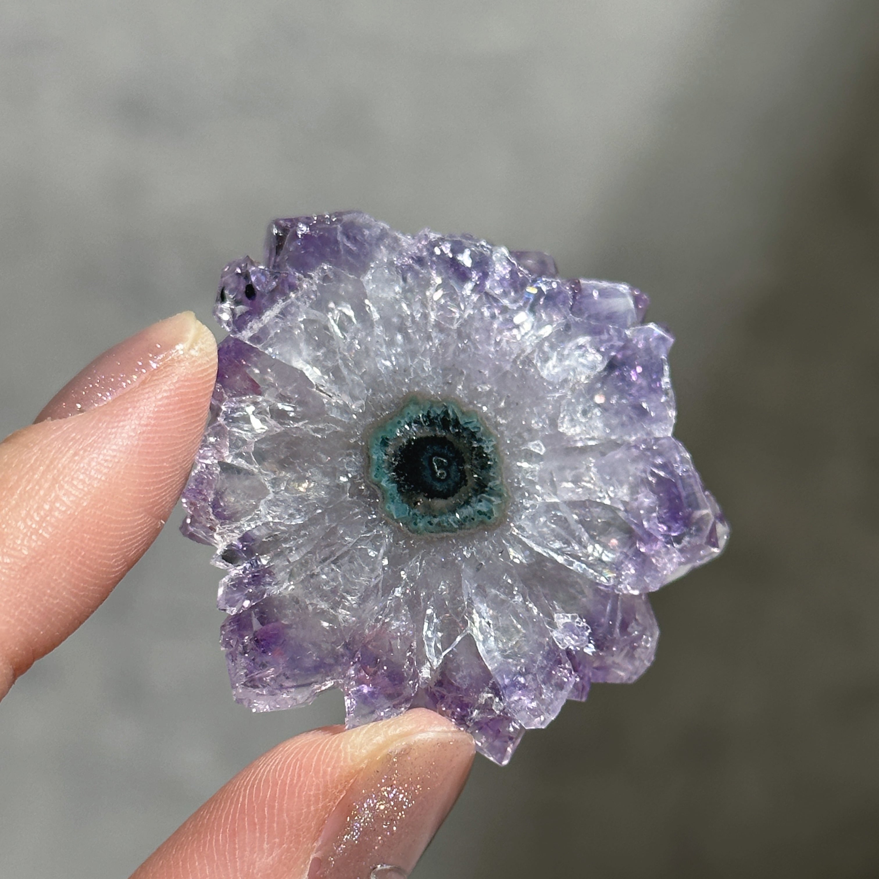 フラワーアメジスト スライス25◇ Flower Amethyst ◇天然石・鉱物