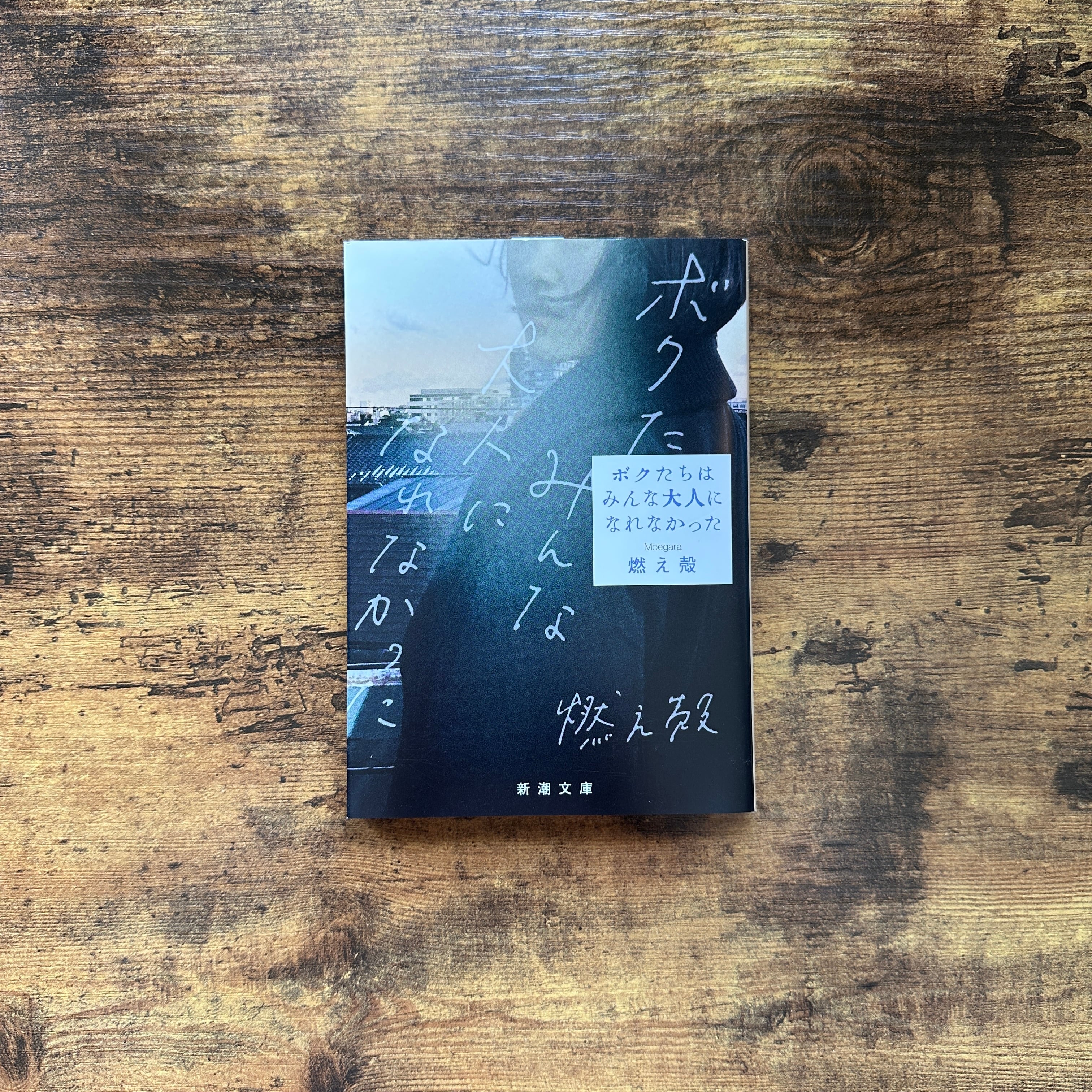 甲子夜話 正編6冊・続編8冊・三編6冊 全20冊揃 東洋文庫 / 松浦静山
