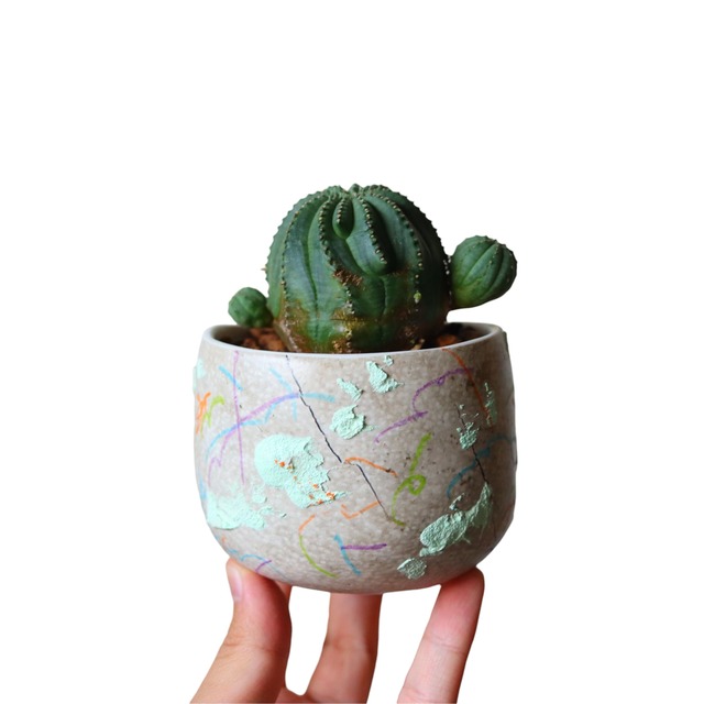 ピッコロ
