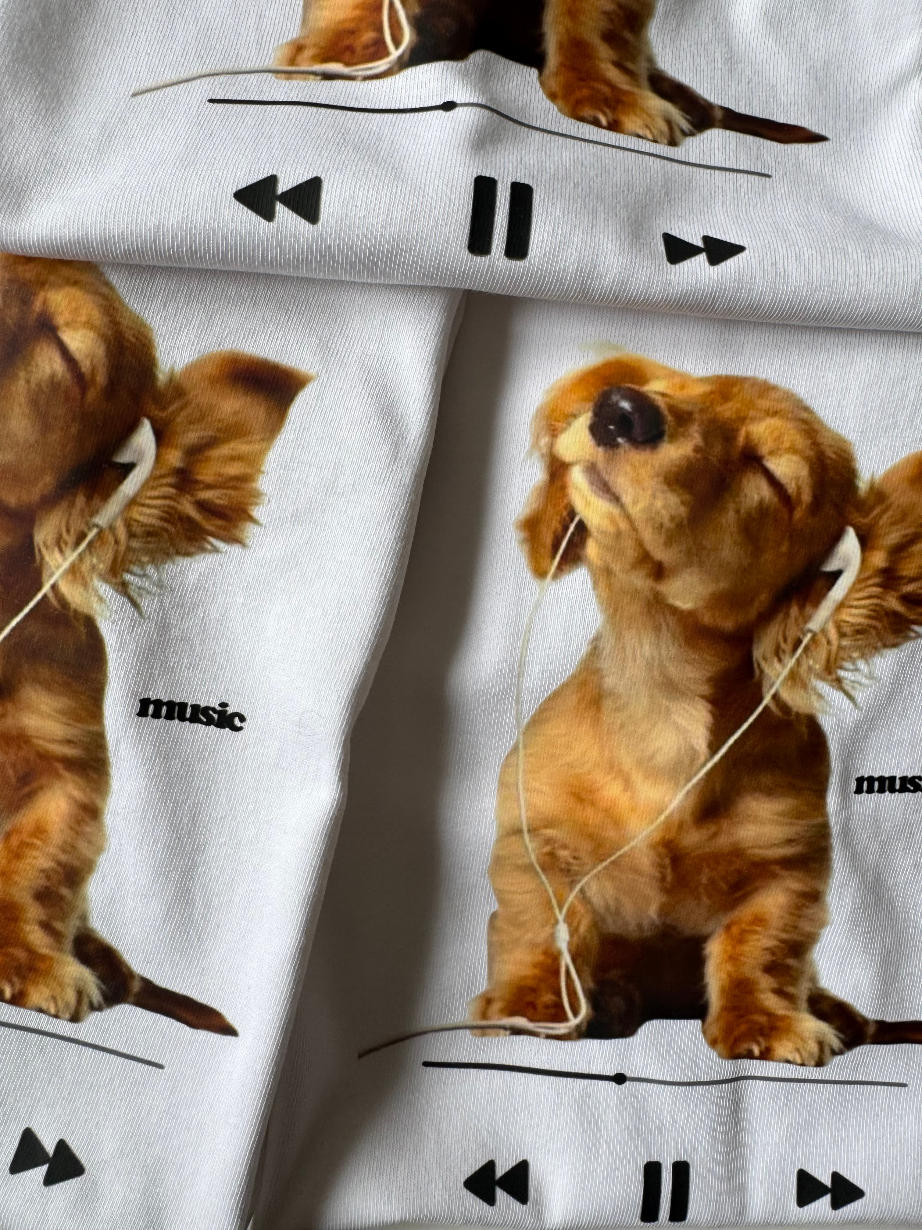 ダックス music ロングT（90〜120cm）4322