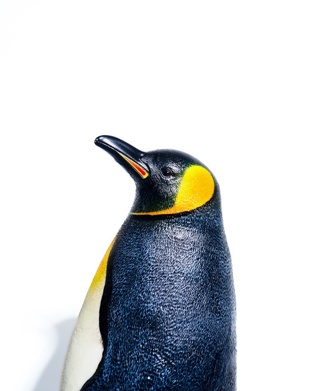 big vinyl King Penguin objcect