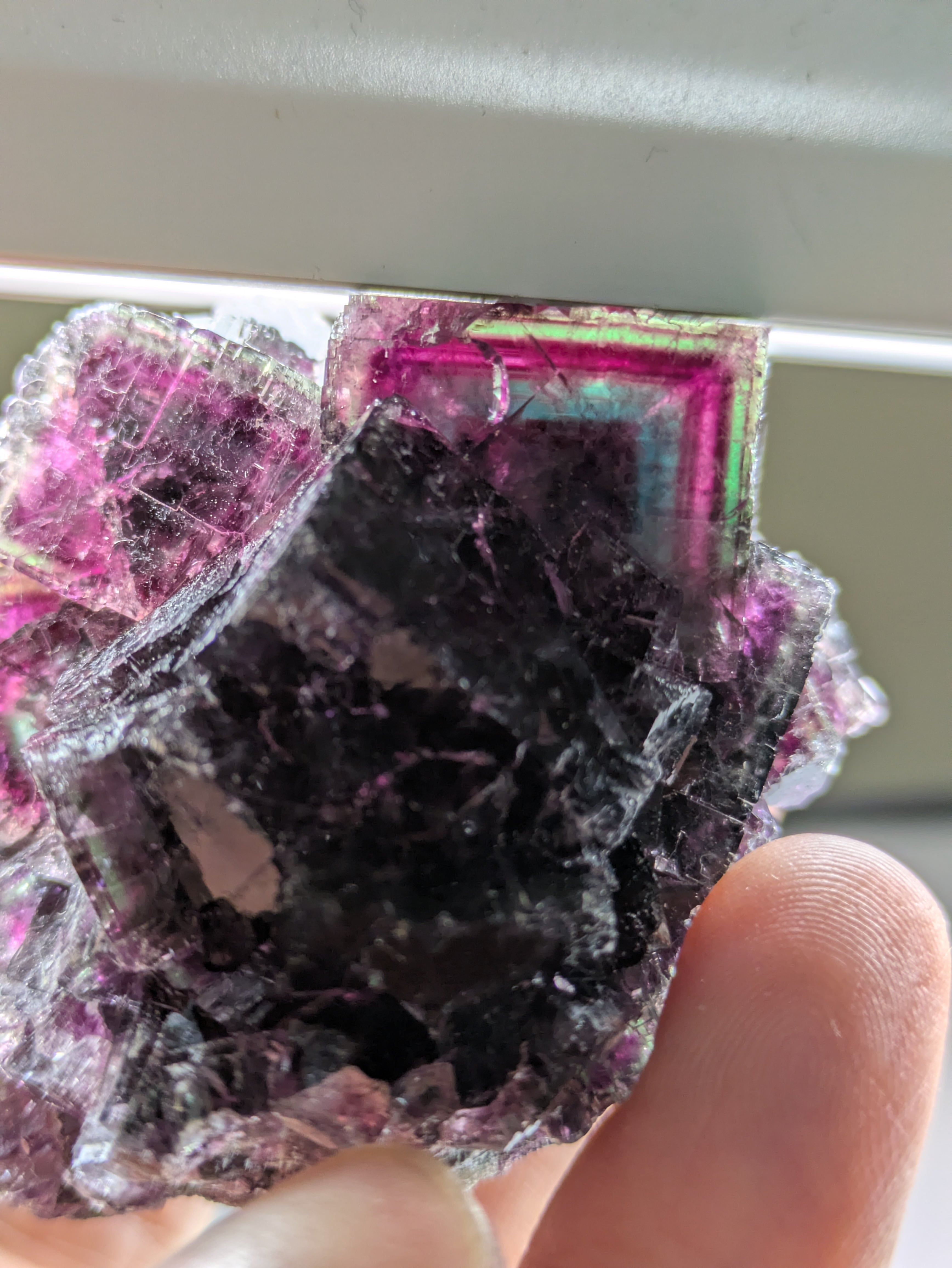 トリカラー】ゾーニング フローライト オコルス鉱山 原石 標本 | 石処